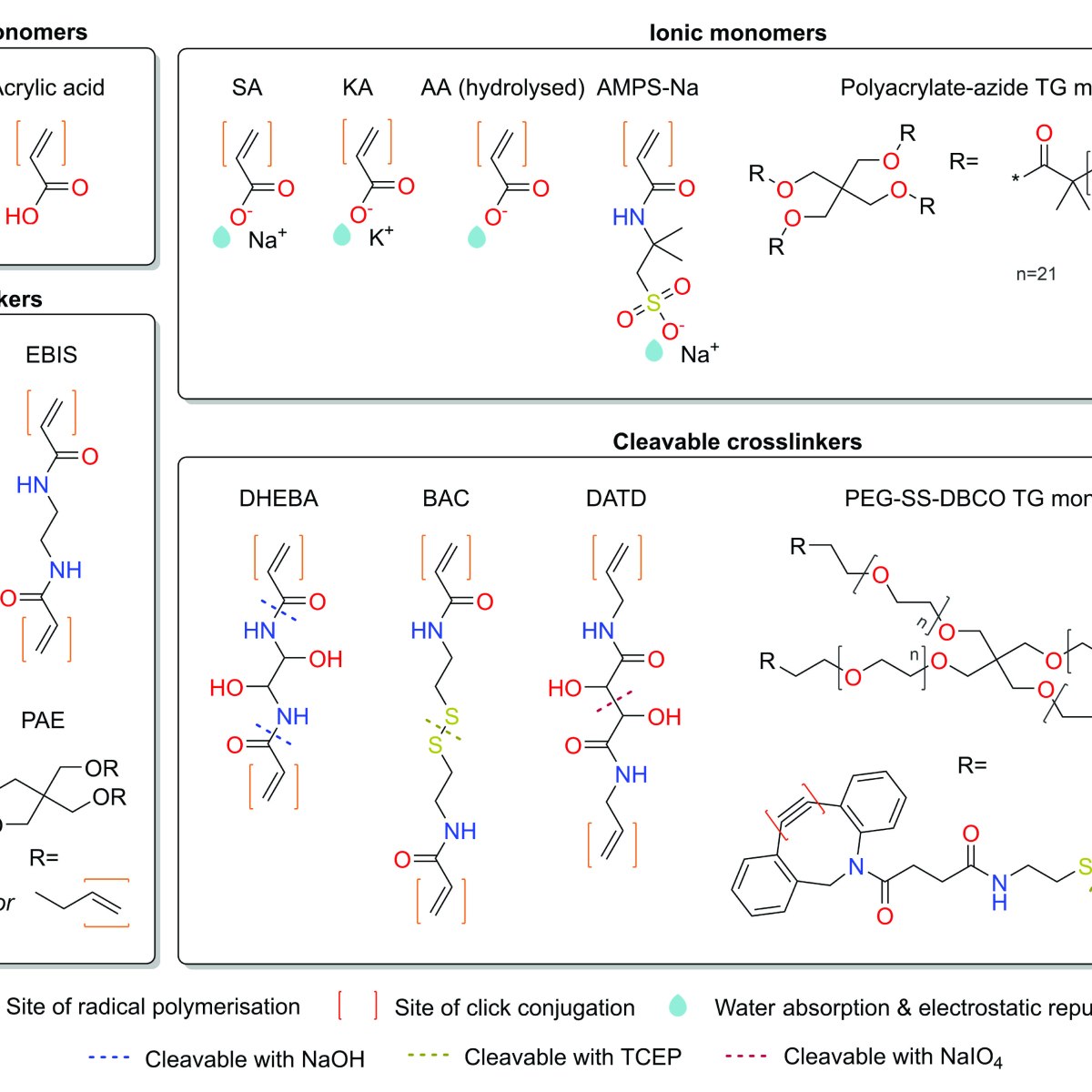 Publication: Beyond 4×: pathways to higher expansion factors in expansion&nbsp;microscopy